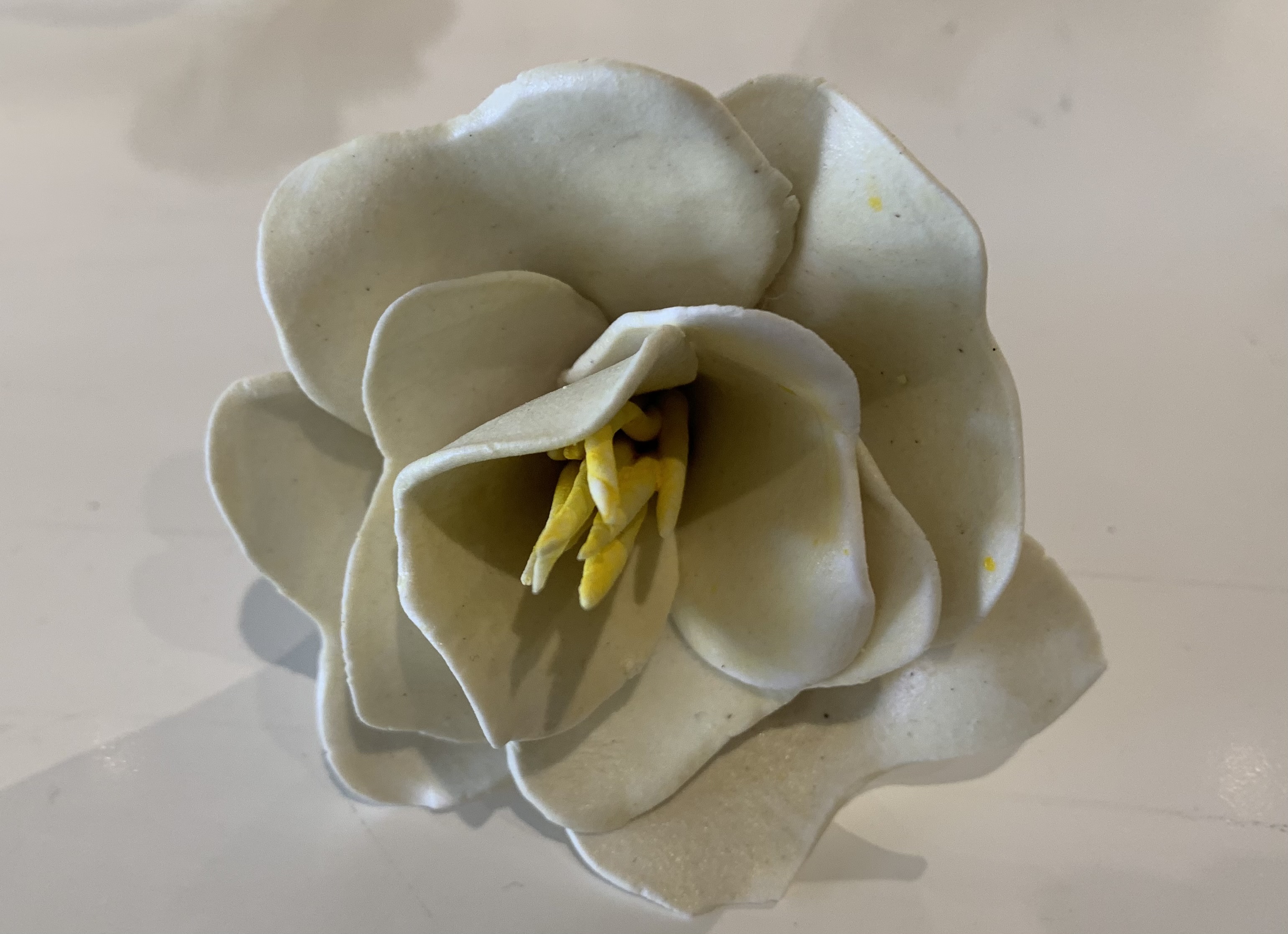 Jillian Porteous  |Flower 3 | McAtamney Gallery and Design Store | Geraldine NZ